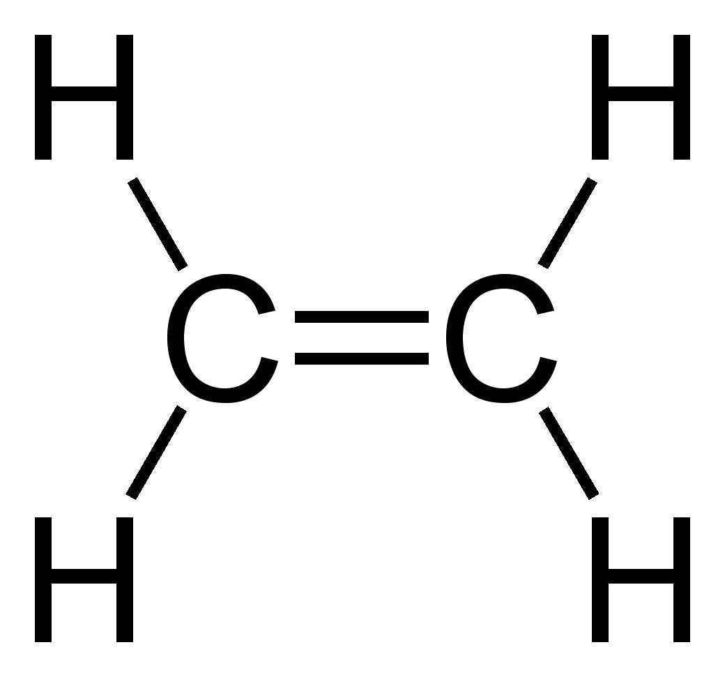 A Fórmula Molecular De Um Hidrocarboneto Com A Cadeia Carbônica