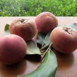 mabolo-fruta