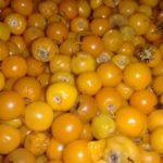 murici-fruta