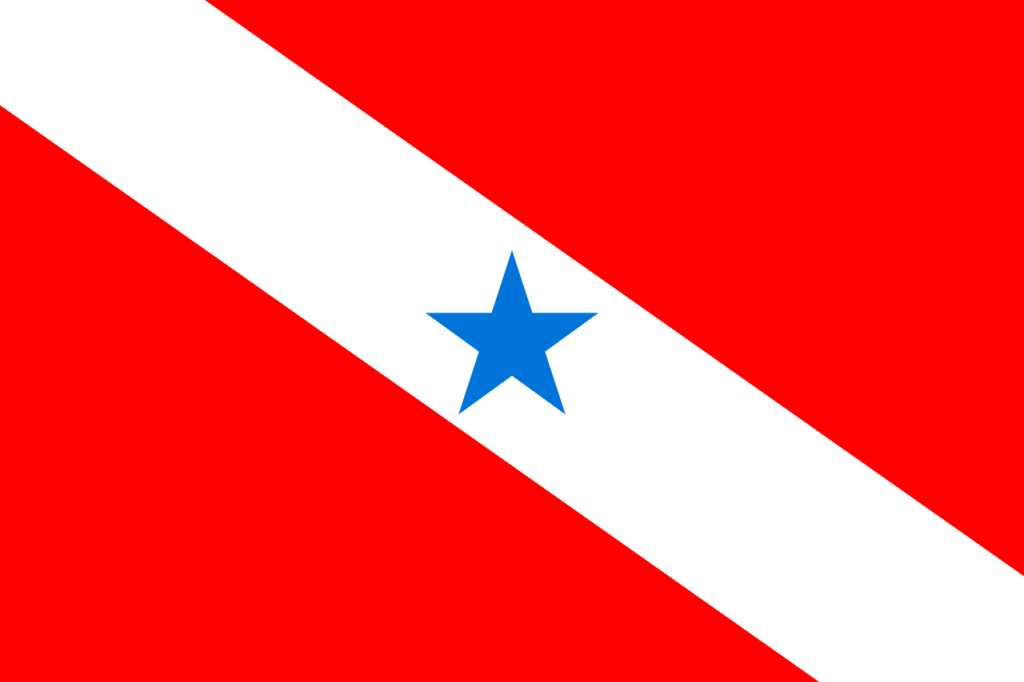 Bandeira do Pará