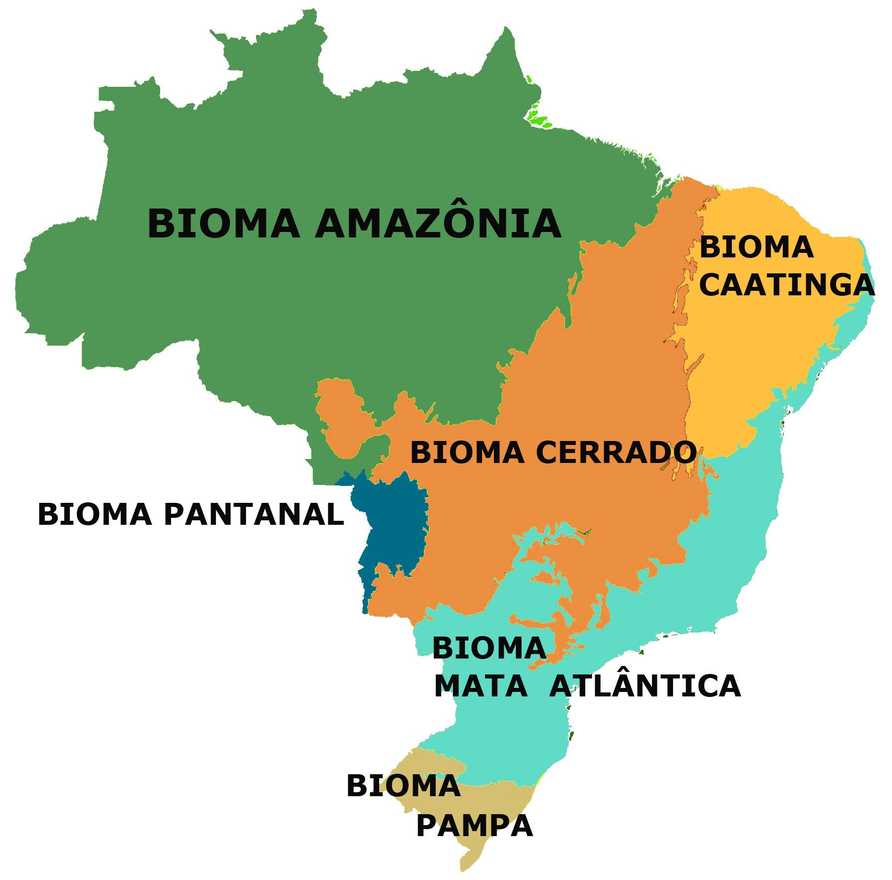 no mapa estão representados os biomas brasileiros educa