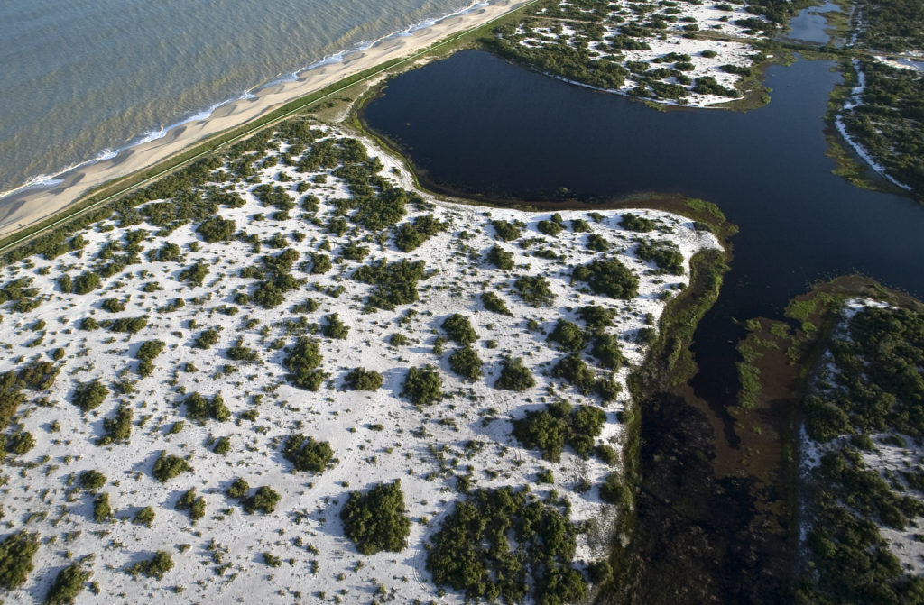 Restinga de Jurabatiba