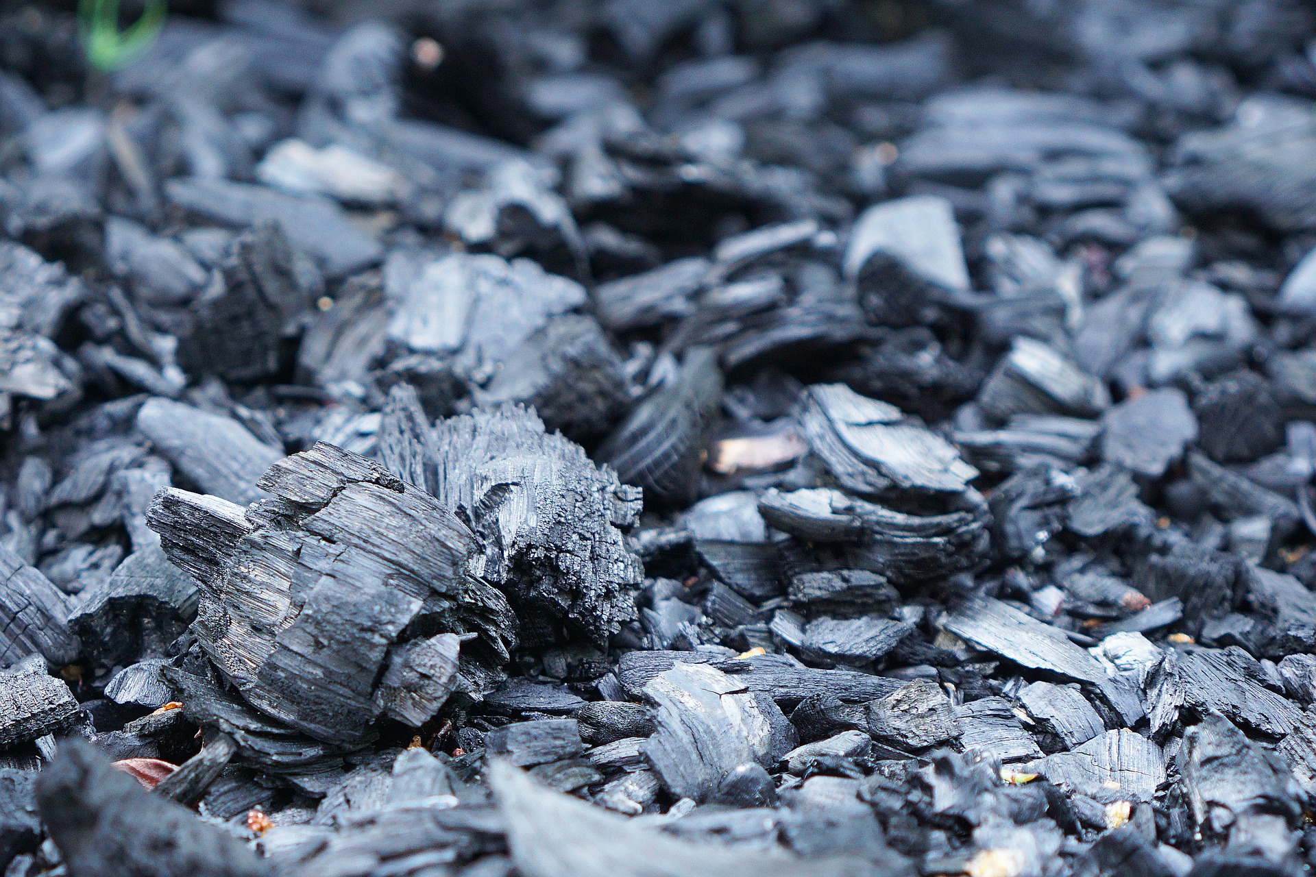 Carvão Vegetal: O que é, suas utilidades, problemas e diferença do carvão mineral
