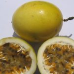 voaganga