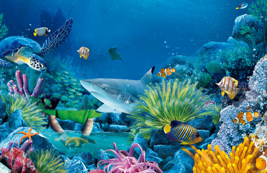 Ecossistema marinho