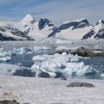 antartica