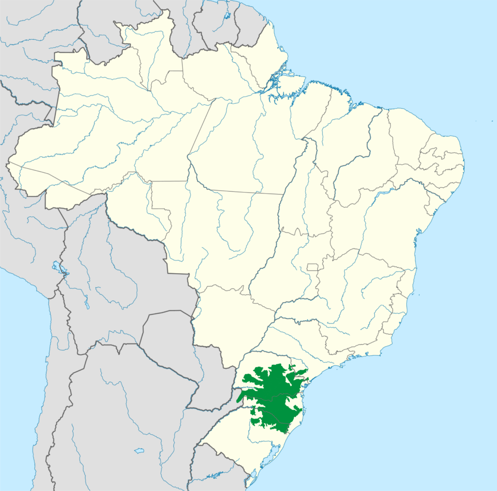 Mapa de localização das Matas de Araucária no Brasil