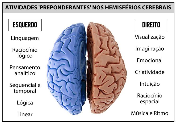 Diferenças entre os hemisférios do cérebro