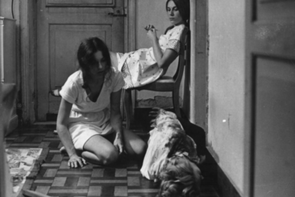 Matou a família e foi ao cinema