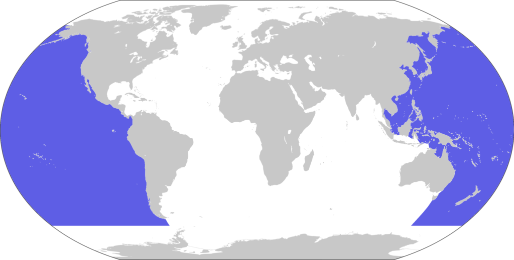 Oceano Pacífico - localização, características, curiosidades e fenômenos 
