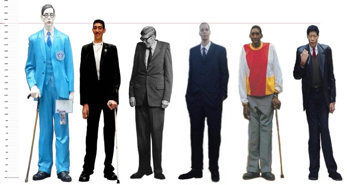 Os homens mais altos do mundo