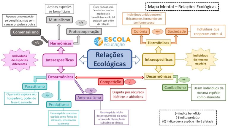 Mapa mental sobre relações ecológicas Baixe grátis em PDF!