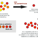 Seleção natural – bactérias resistentes a antibióticos