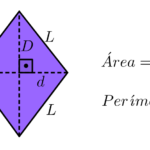 area-perimetro-losango-1