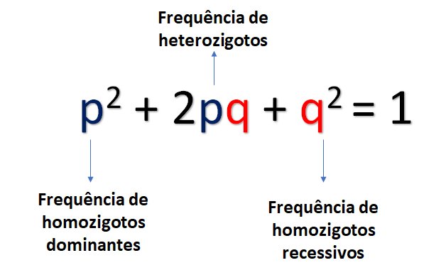 Equilibro HW