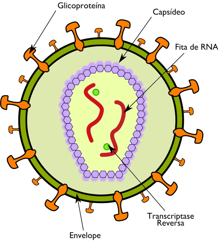 Vírus - Estrutura viral