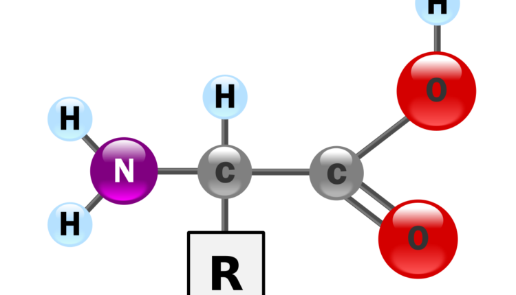Aminoácidos - Estrutura molecular