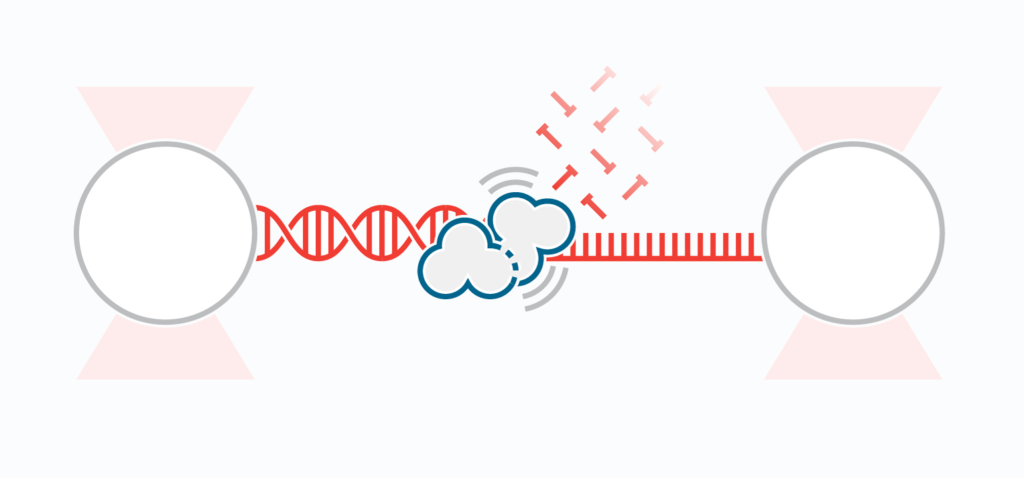 DNA-polimerase