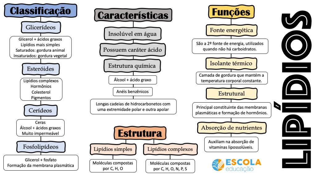 Mapa mental Lipídios - Baixe o mapa mental em PDF grátis!