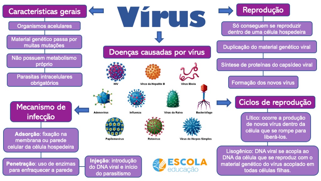 Mapa mental - Vírus - Baixe grátis o mapa em PDF!