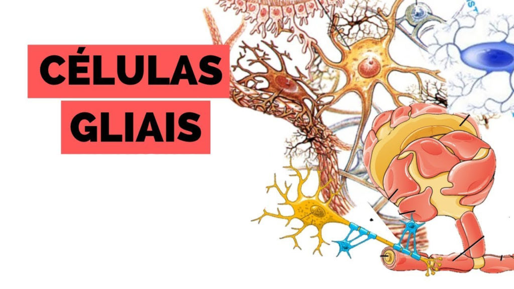 Células gliais