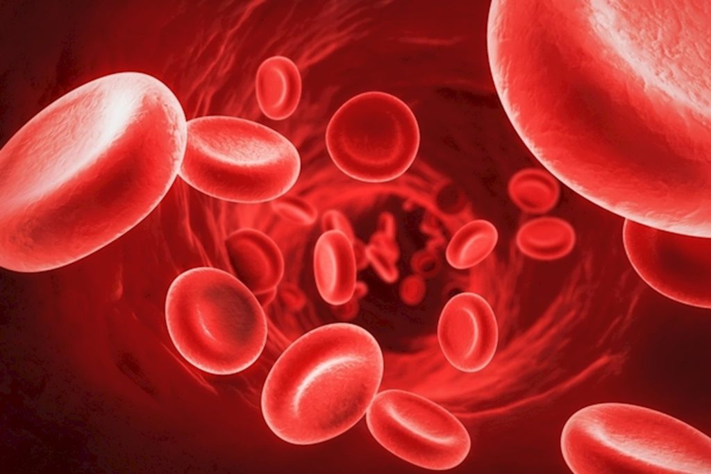 hemoglobina-o-que-tipos-fun-o-estrutura-composi-o-doen-as