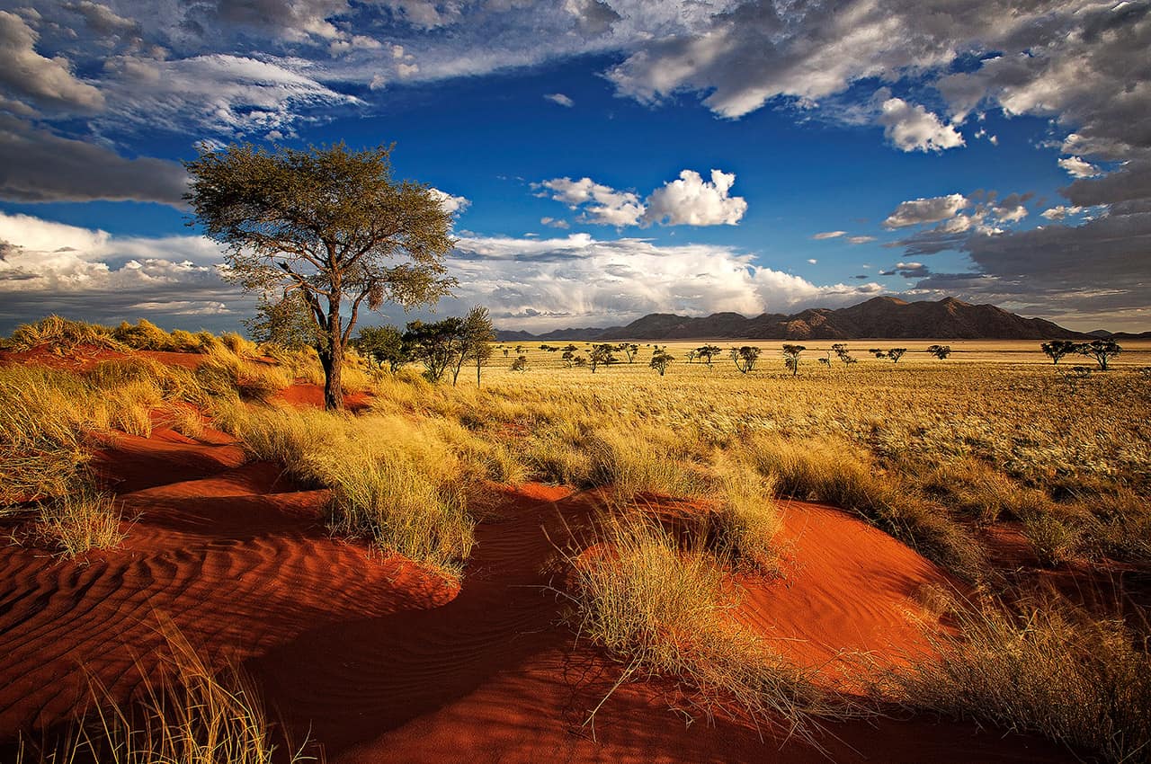 Deserto Kalahari