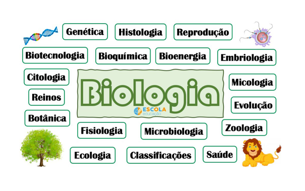 Mapas mentais - Biologia
