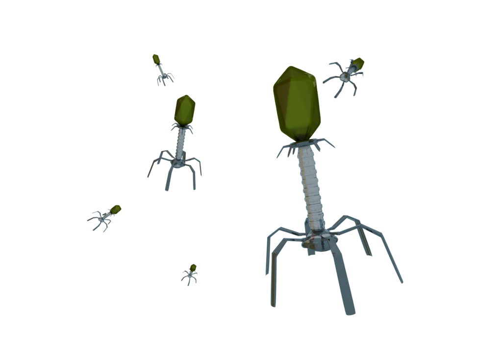 Bacteriófago