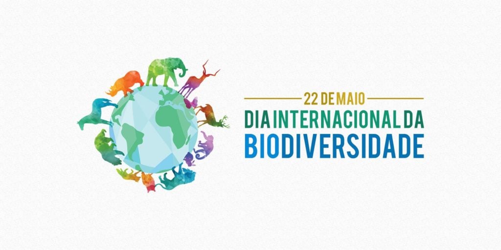 Biodiversidade - 22 de maio é comemorado o Dia Internacional da Biodiversidade