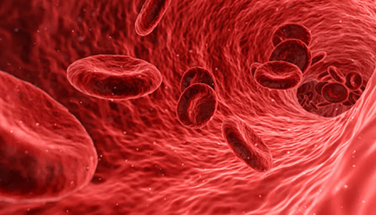 Hematopoiese - Células sanguíneas - Hemácias