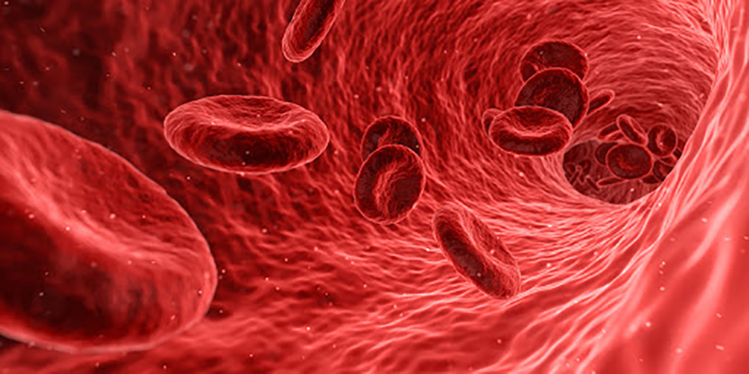 Hematopoiese - Células sanguíneas - Hemácias