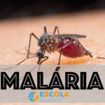 Malária