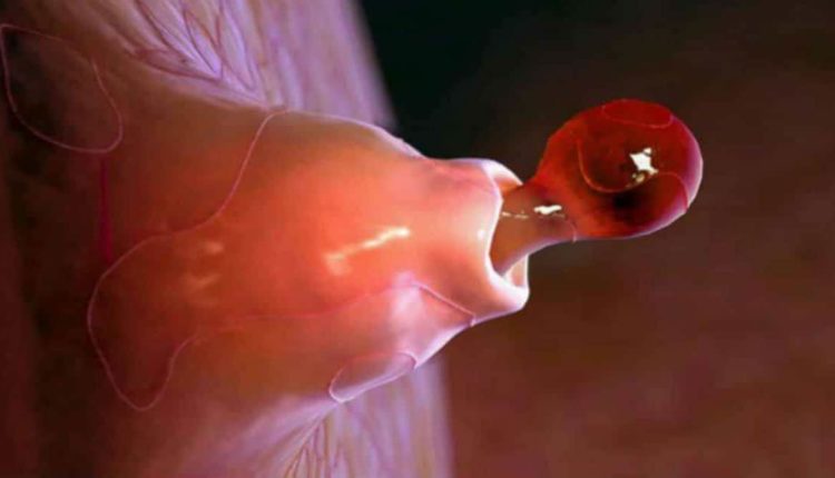 Ovulação e período fértil