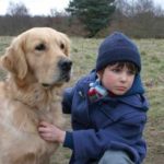 Filmes sobre autismo: Um amigo inesperado 