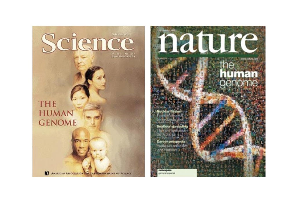 Projeto Genoma Humano - Capas das revistas científicas que publicaram os resultados