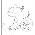 animais-para-colorir-15