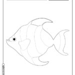 Animais para colorir