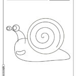 Animais para colorir