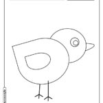Animais para colorir