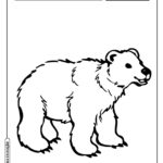 Animais para colorir