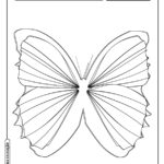 Borboleta para colorir