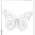 Borboleta para colorir