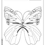 Borboleta para colorir