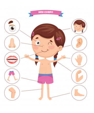 Plano de aula partes do corpo humano infantil - Tudo sobre Plano de ...
