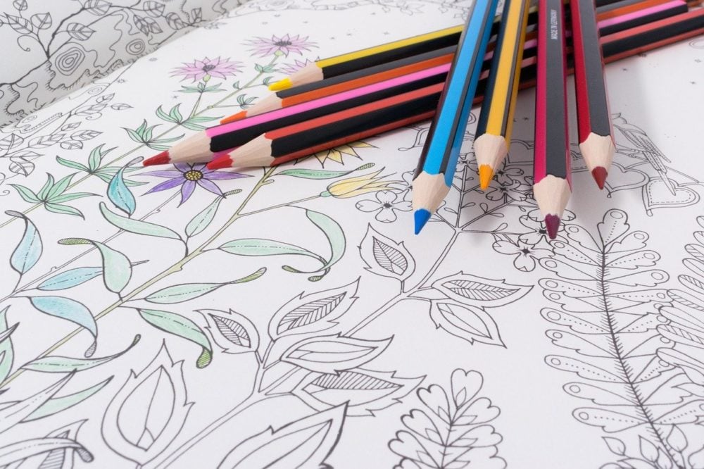 Confira os 60 desenhos de flor para colorir e se divirta na pintura!