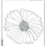 Flor para colorir