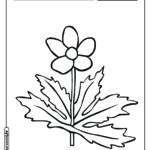 Flor para colorir