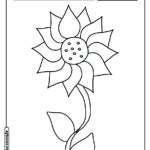 Flor para colorir