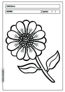 60 Desenhos de flor para colorir e se divertir na pintura!